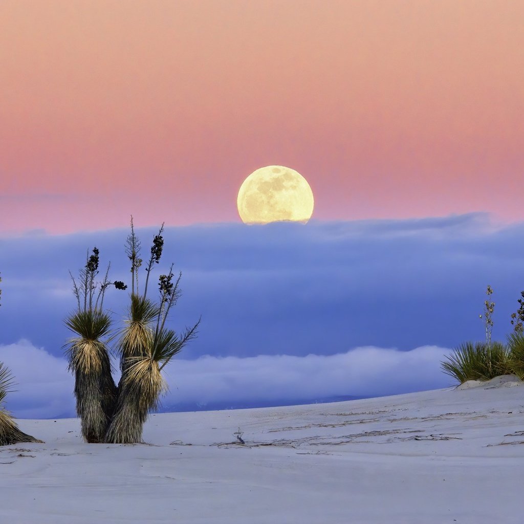 Обои пустыня, луна, сша, нью-мексико, white sands national monume, desert, the moon, usa, new mexico разрешение 2048x1356 Загрузить