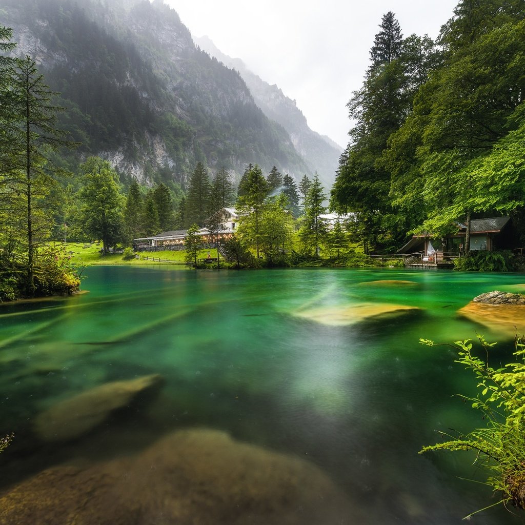 Обои озеро, горы, природа, лес, швейцария, lake, mountains, nature, forest, switzerland разрешение 2048x1363 Загрузить