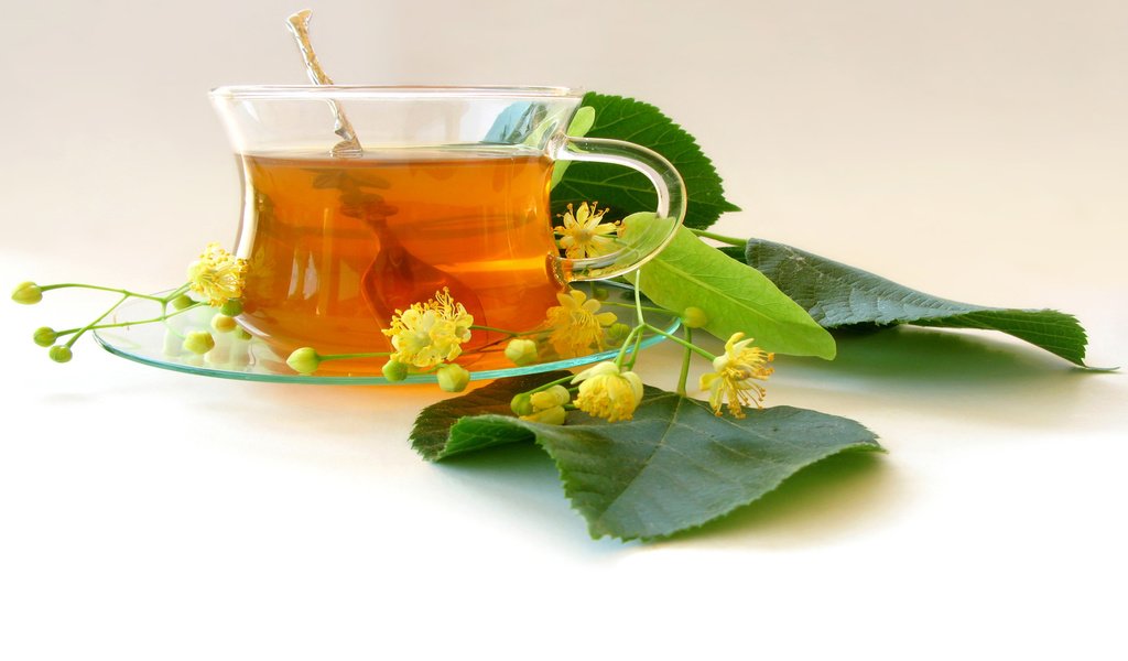 Обои чай, соцветия, листики, tea, inflorescence, leaves разрешение 1920x1200 Загрузить