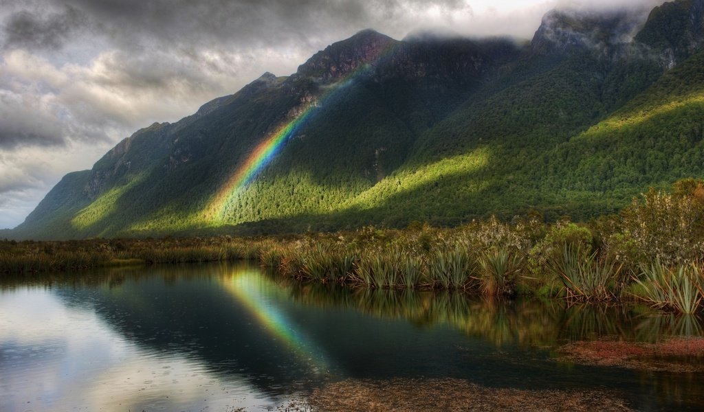 Обои деревья, радуга, водоем, дождь, trees, rainbow, pond, rain разрешение 2560x1600 Загрузить