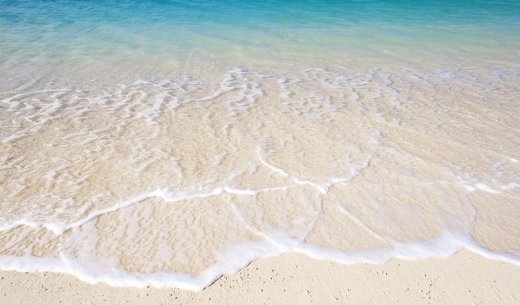 Обои вода, песок, пляж, океан, прибой, пена, water, sand, beach, the ocean, surf, foam разрешение 1920x1200 Загрузить