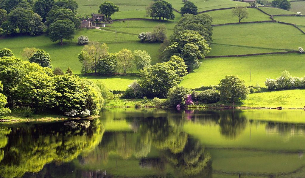 Обои озеро, зелень, отражение, lake, greens, reflection разрешение 2560x1600 Загрузить