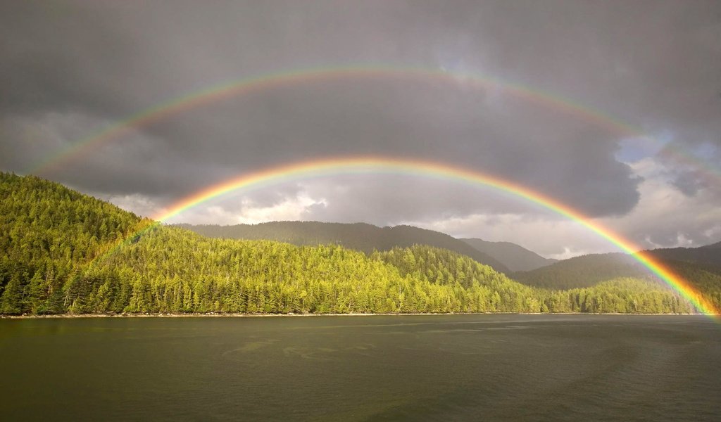 Обои облака, лес, радуга, водоем, clouds, forest, rainbow, pond разрешение 1920x1200 Загрузить