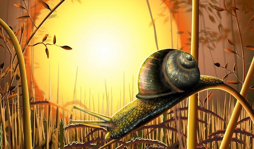 Обои трава, солнце, улитка, grass, the sun, snail разрешение 2400x1565 Загрузить