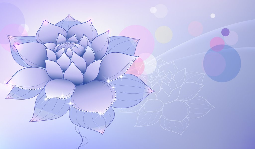 Обои цветок, сиреневый, лотус, flower, lilac, lotus разрешение 1920x1200 Загрузить
