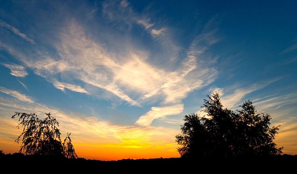 Обои небо, облака, деревья, закат, the sky, clouds, trees, sunset разрешение 1920x1080 Загрузить