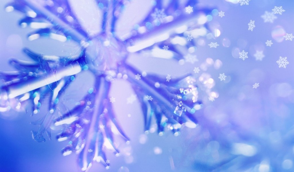 Обои новый год, праздник, обои, мерцание, макро, снежинки, фото, фон, синий, блеск, new year, holiday, wallpaper, flickering, macro, snowflakes, photo, background, blue, shine разрешение 1920x1200 Загрузить