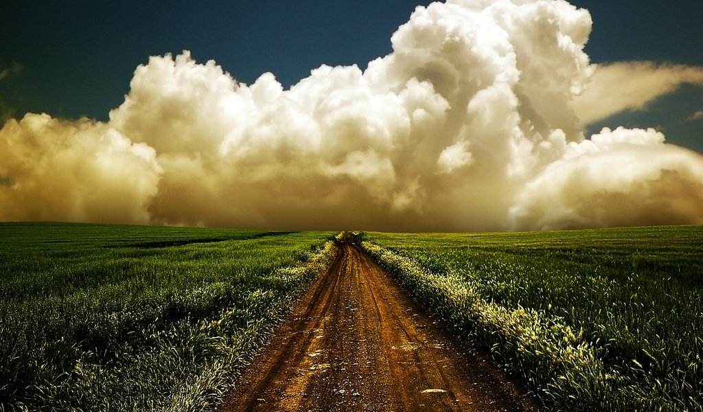 Обои дорога, поле, облако, road, field, cloud разрешение 2560x1600 Загрузить