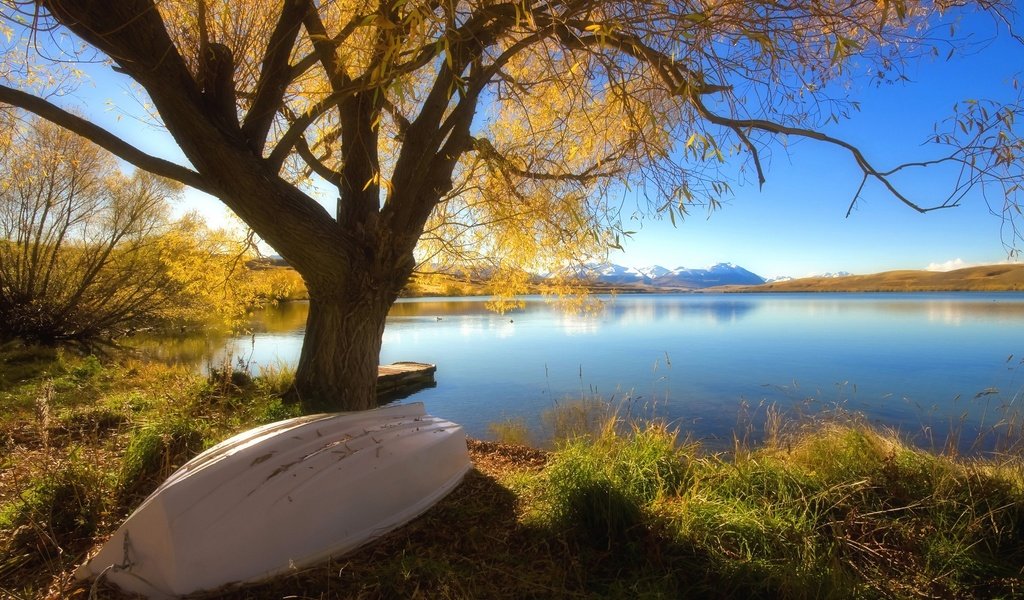 Обои озеро, дерево, осень, лодка, lake, tree, autumn, boat разрешение 2560x1600 Загрузить
