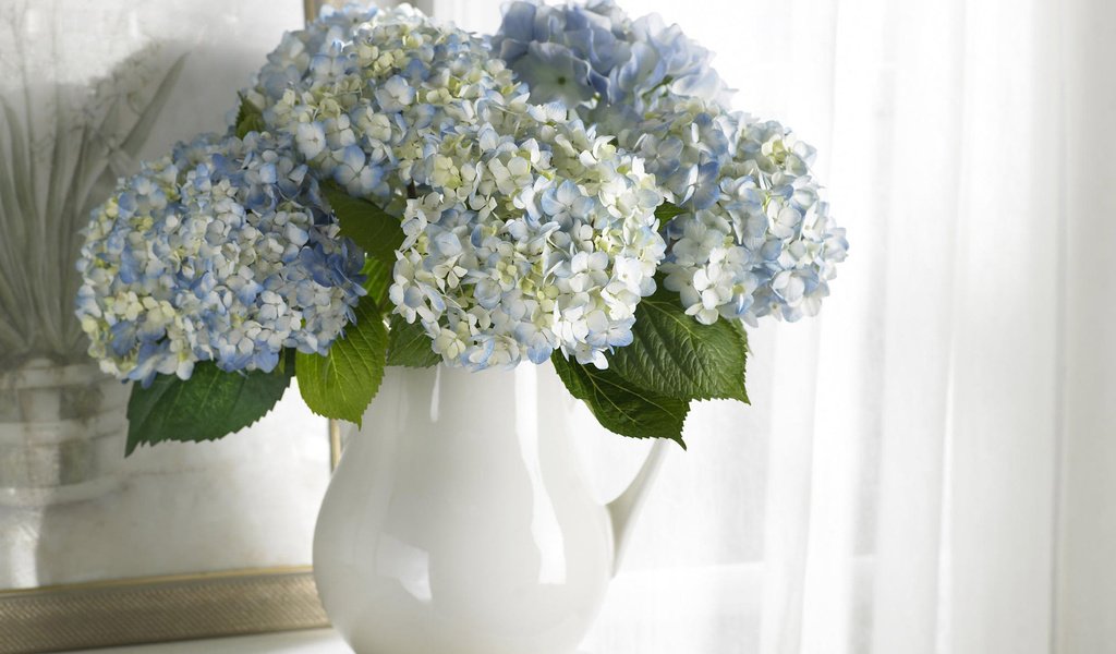 Обои цветы, картина, букет, белые, ваза, голубые, чистота, flowers, picture, bouquet, white, vase, blue, purity разрешение 1920x1200 Загрузить