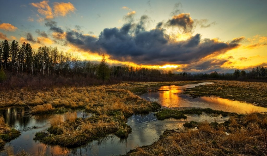 Обои трава, облака, вода, природа, болото, закат, тучи, ручей, grass, clouds, water, nature, swamp, sunset, stream разрешение 2560x1600 Загрузить