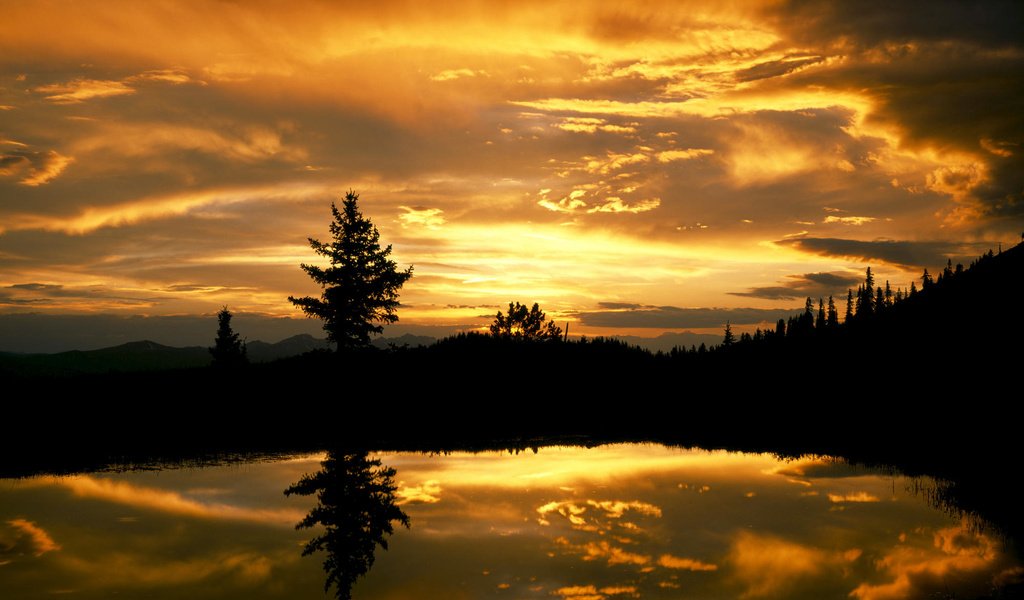 Обои небо, вечер, озеро, лес, закат, отражение, ель, the sky, the evening, lake, forest, sunset, reflection, spruce разрешение 2000x1333 Загрузить