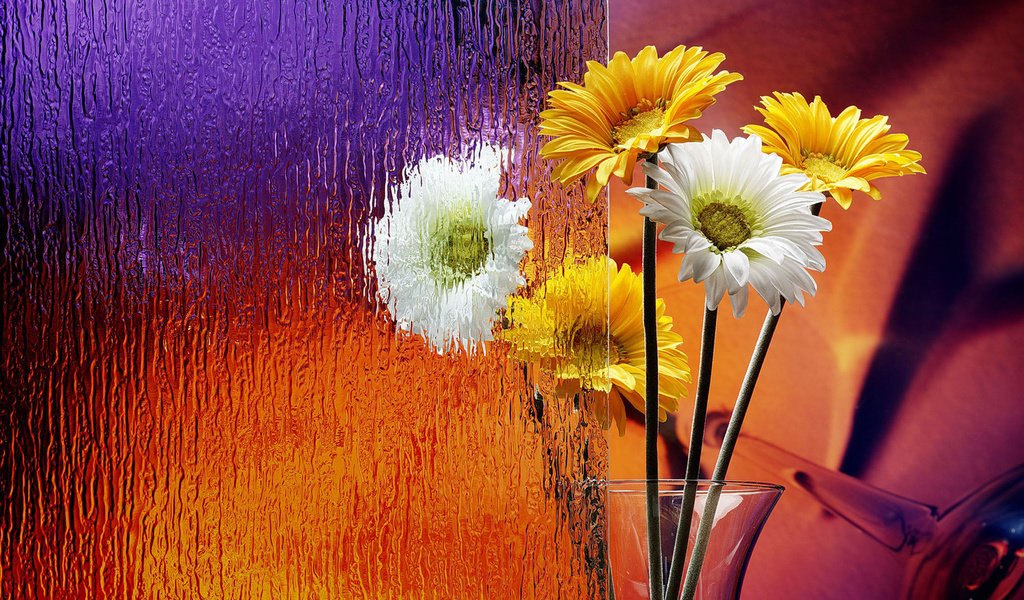 Обои цветы, стекло, ваза, герберы, flowers, glass, vase, gerbera разрешение 1920x1200 Загрузить