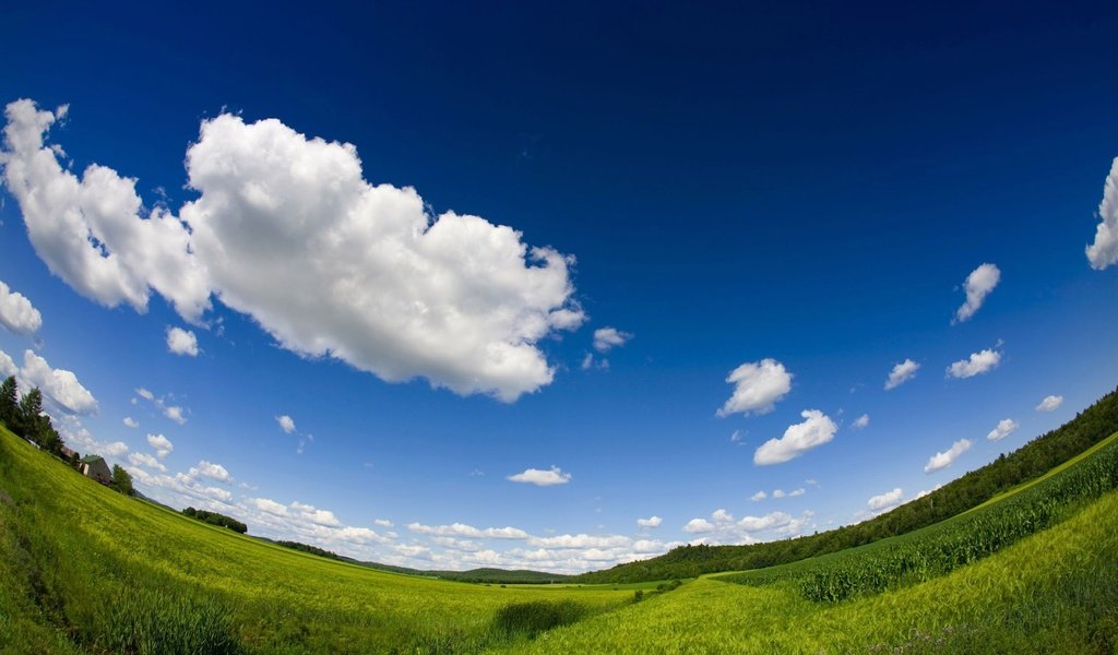 Обои небо, облака, пейзаж, горизонт, the sky, clouds, landscape, horizon разрешение 1920x1200 Загрузить