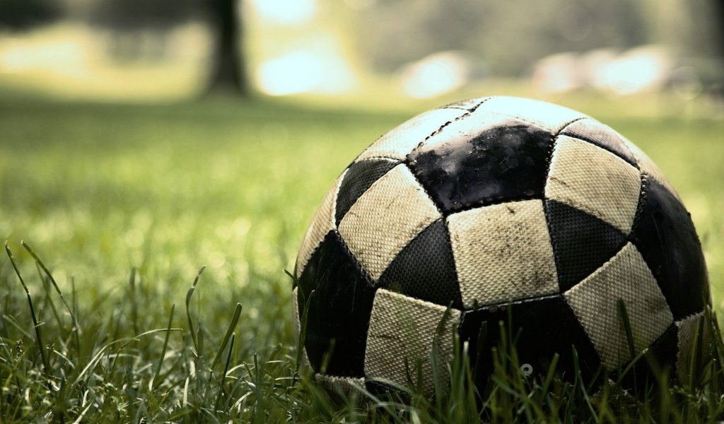 Обои трава, зеленая, мяч, интересно, футбольный, grass, green, the ball, interesting, football разрешение 2560x1600 Загрузить