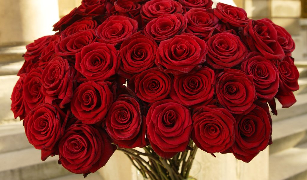 Обои цветы, розы, красные, букет, flowers, roses, red, bouquet разрешение 1920x1080 Загрузить