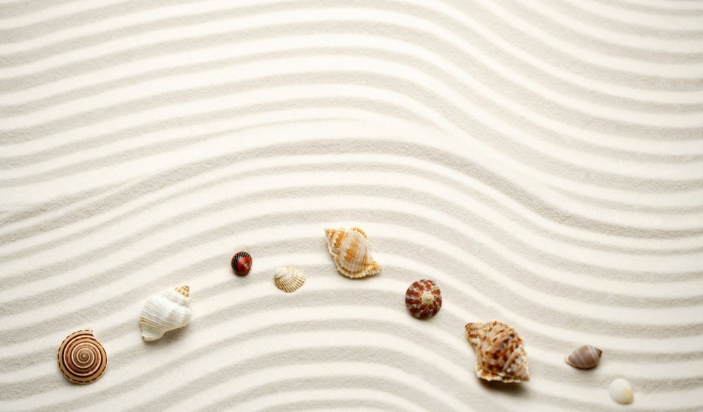 Обои линии, волны, песок, ракушки, line, wave, sand, shell разрешение 2180x1433 Загрузить