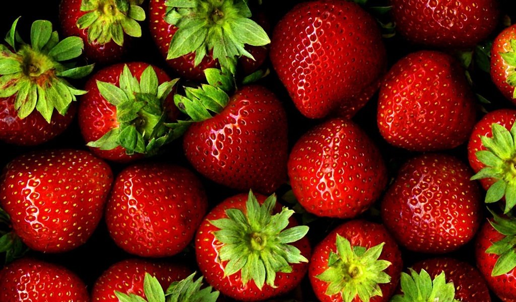 Обои ягода, клубника, спелая, berry, strawberry, ripe разрешение 1920x1200 Загрузить