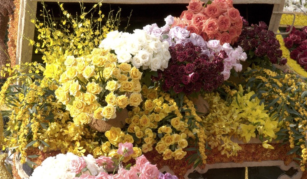 Обои цветы, розы, cvety, rozy, prilavok, прилавок, букеты, flowers, roses, the counter, bouquets разрешение 2400x1598 Загрузить