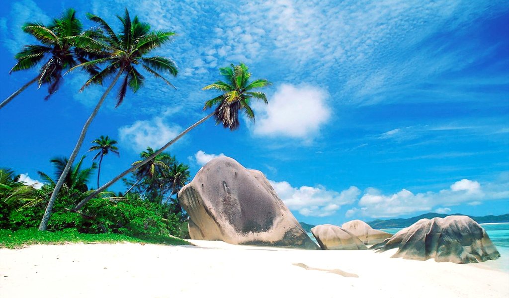 Обои пляж, остров, тропики, сейшелы, beach, island, tropics, seychelles разрешение 1920x1200 Загрузить