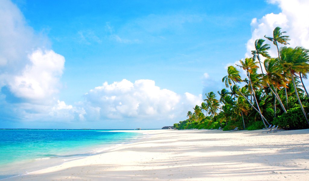 Обои море, пляж, тропики, мальдивы, sea, beach, tropics, the maldives разрешение 4505x2940 Загрузить