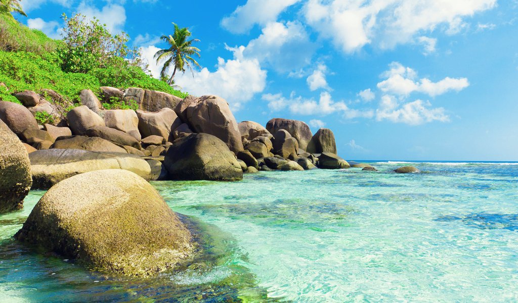 Обои море, отдых, остров, тропики, сейшелы, sea, stay, island, tropics, seychelles разрешение 7084x4722 Загрузить