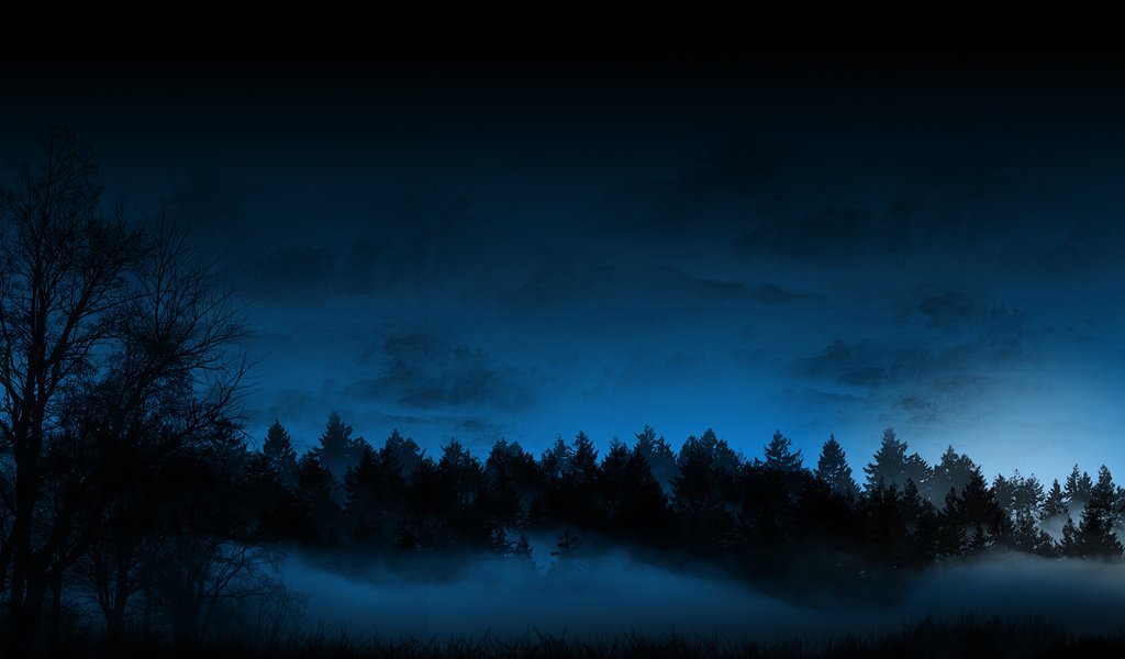 Обои туман в ночном лесу, fog in the forest at night разрешение 1920x1080 Загрузить