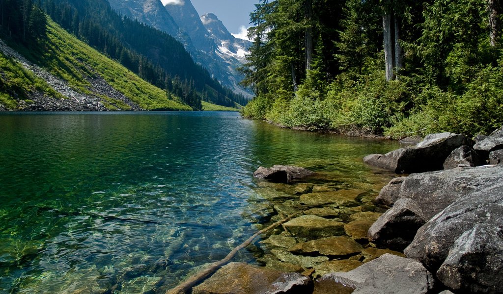 Обои деревья, вода, горы, природа, горная река, trees, water, mountains, nature, mountain river разрешение 2560x1600 Загрузить