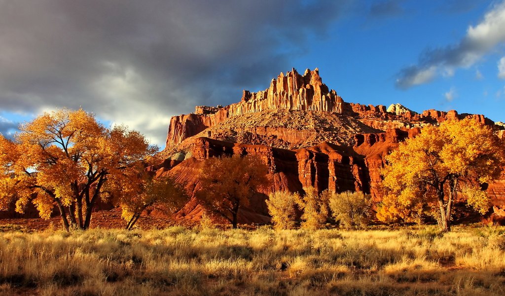 Обои скала, осень, каньон, сша, национальный парк, капитол-риф, capitol reef national park, осенний пейзаж, rock, autumn, canyon, usa, national park, capitol reef разрешение 2560x1600 Загрузить