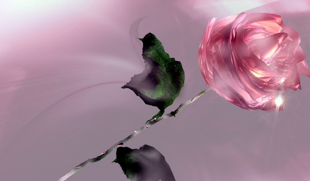 Обои роза, розовая, rose, pink разрешение 2560x1600 Загрузить