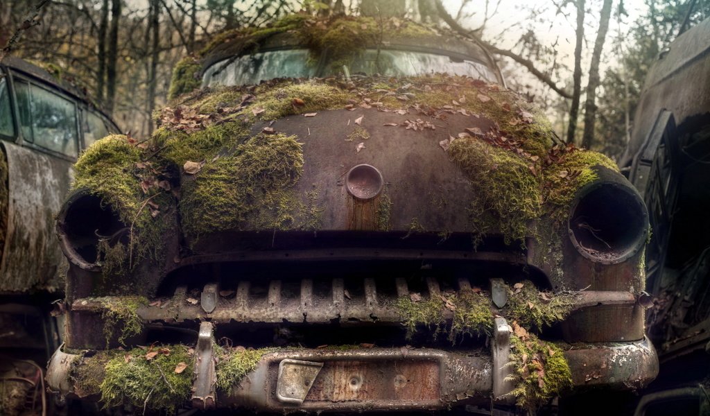 Обои машина, мох, лом, machine, moss, scrap разрешение 1920x1200 Загрузить