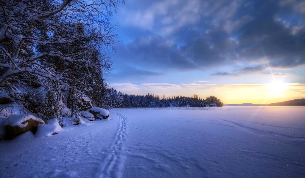 Обои снег, лес, закат, зима, snow, forest, sunset, winter разрешение 1920x1200 Загрузить