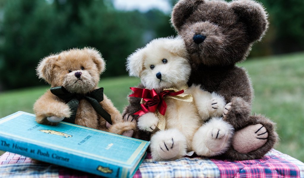 Обои мишки, игрушки, книга, мягкие, bears, toys, book, soft разрешение 2048x1371 Загрузить