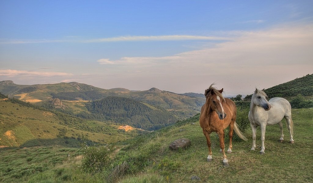 Обои небо, горы, пейзаж, лошади, кони, the sky, mountains, landscape, horse, horses разрешение 1920x1200 Загрузить