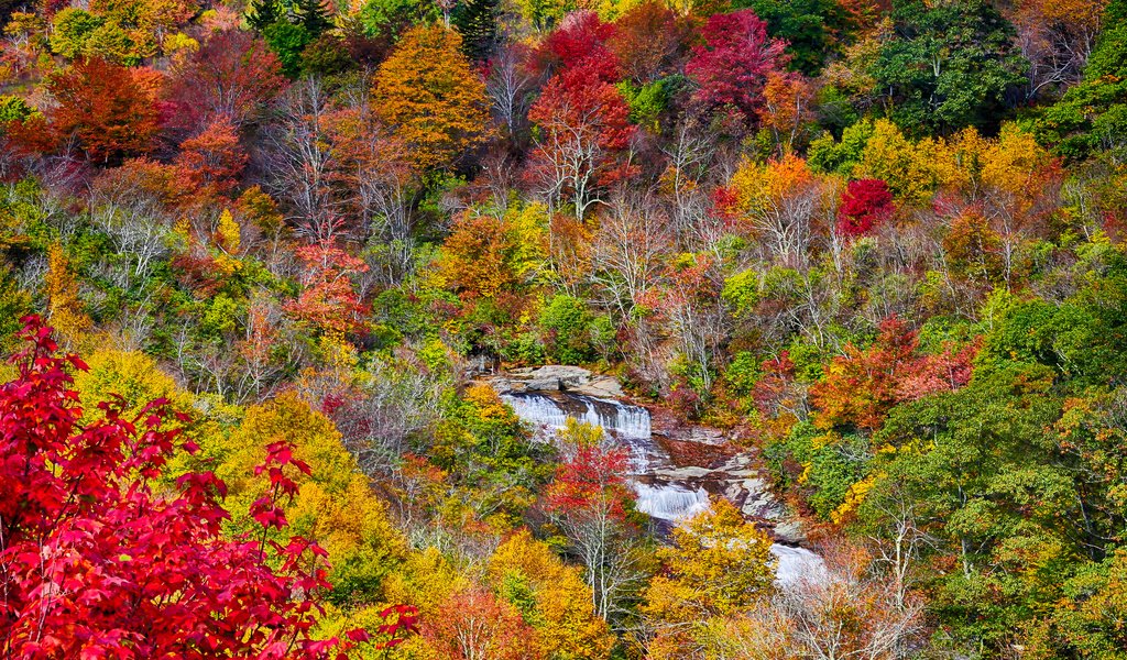 Обои деревья, осень, поток, речка, trees, autumn, stream, river разрешение 2048x1365 Загрузить