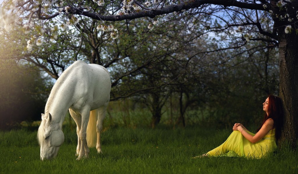 Обои лошадь, трава, природа, дерево, девушка, профиль, конь, желтое платье, horse, grass, nature, tree, girl, profile, yellow dress разрешение 1920x1200 Загрузить