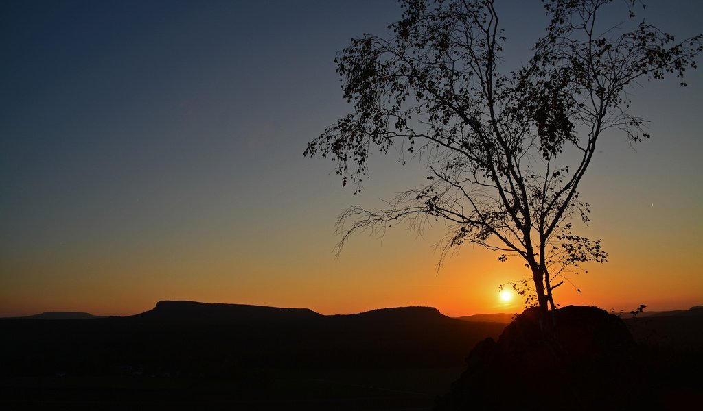 Обои небо, солнце, дерево, закат, силуэт, the sky, the sun, tree, sunset, silhouette разрешение 2048x1365 Загрузить