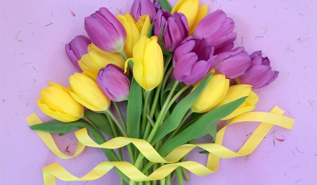 Обои цветы, букет, тюльпаны, лента, жёлтая, тульпаны,  цветы, парное, лиловая, flowers, bouquet, tulips, tape, yellow, fresh, purple разрешение 2880x1920 Загрузить