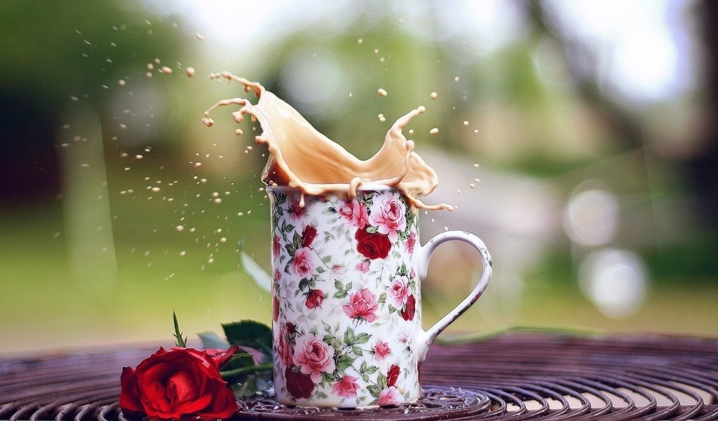 Обои роза, кофе, брызги, кружка, настроения, чашка, розочка, rose, coffee, squirt, mug, mood, cup, rosette разрешение 1920x1200 Загрузить