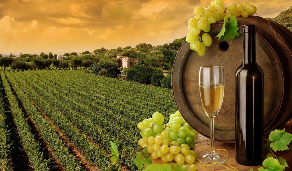 Обои листья, виноград, бокал, вино, белое, бутылка, бочка, leaves, grapes, glass, wine, white, bottle, barrel разрешение 1920x1200 Загрузить
