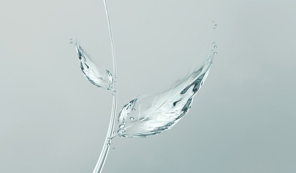 Обои вода, лист, минимализм, листик, пузырьки, минимаизм, мыльные пузыри, water, sheet, minimalism, leaf, bubbles разрешение 2560x1600 Загрузить