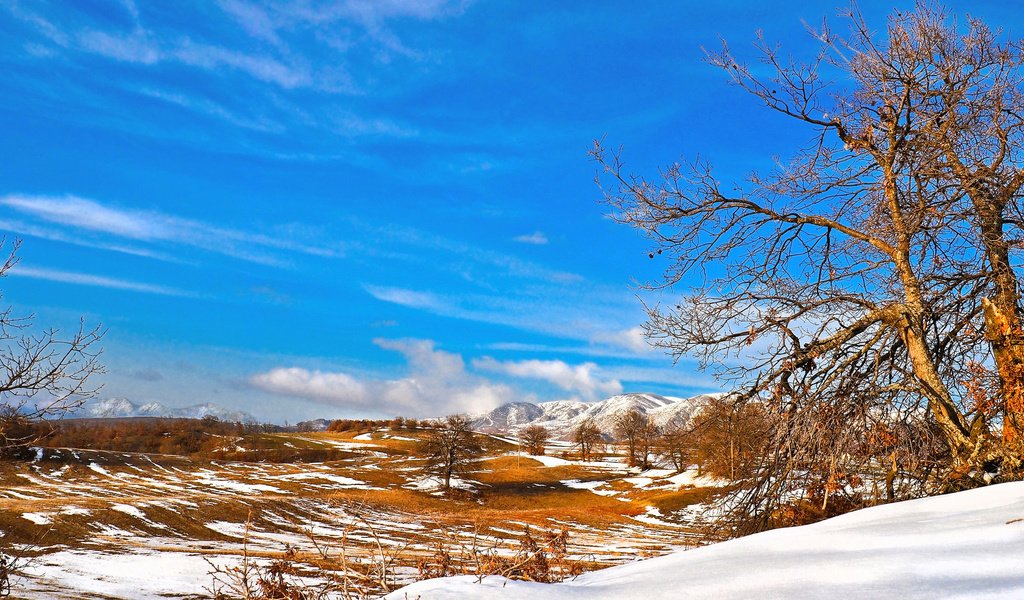 Обои небо, деревья, горы, снег, долина, the sky, trees, mountains, snow, valley разрешение 2048x1152 Загрузить