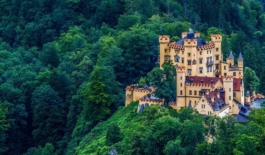 Обои лес, замок, германия, бавария, хоэншвангау, красочная, forest, castle, germany, bayern, hohenschwangau, colorful разрешение 2560x1600 Загрузить