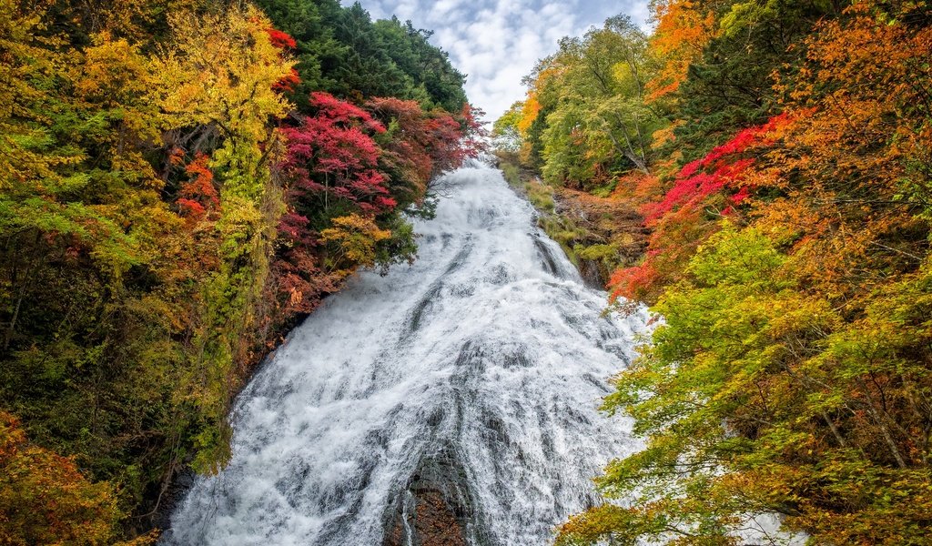 Обои деревья, пейзаж, водопад, осень, япония, yudaki waterfall, trees, landscape, waterfall, autumn, japan разрешение 2880x1920 Загрузить