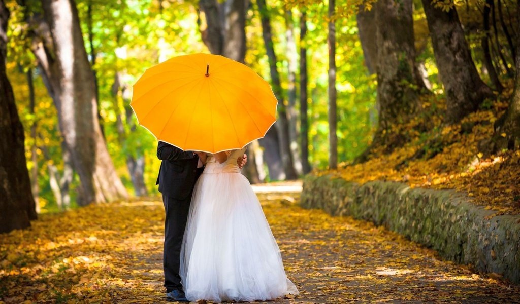 Обои зонтик, жених, невеста, композиция, umbrella, the groom, the bride, composition разрешение 2560x1600 Загрузить