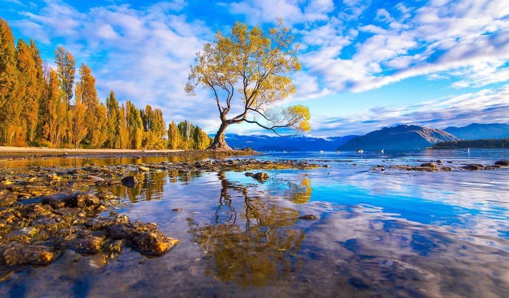 Обои вода, горы, дерево, камни, лес, отражение, оезро, water, mountains, tree, stones, forest, reflection, outro разрешение 1920x1087 Загрузить