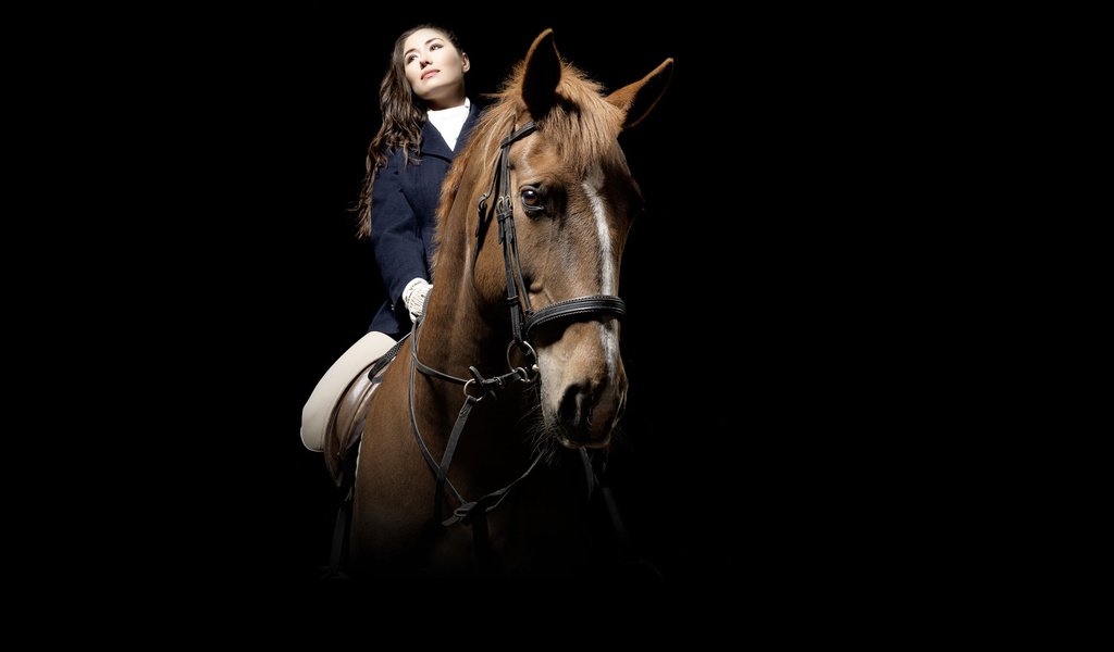 Обои лошадь, девушка, спорт, horse, girl, sport разрешение 1920x1200 Загрузить