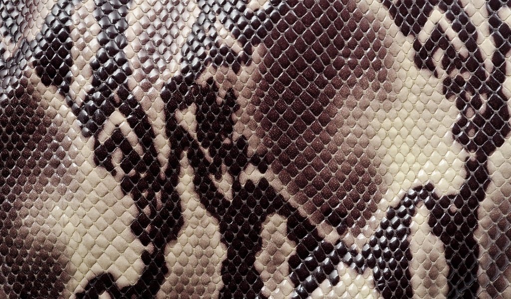 Обои текстура, змея, кожа, расцветка, animal texture, раскраска, кожа змеи, змеиная кож, texture, snake, leather, colors, coloring, a snake's skin разрешение 2880x1908 Загрузить