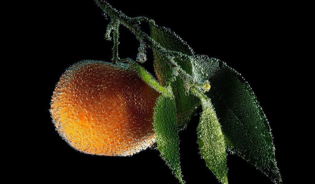 Обои вода, фон, фрукты, оранжевый, апельсин, цитрус, пузырьки, мандарин, water, background, fruit, orange, citrus, bubbles, mandarin разрешение 1920x1080 Загрузить