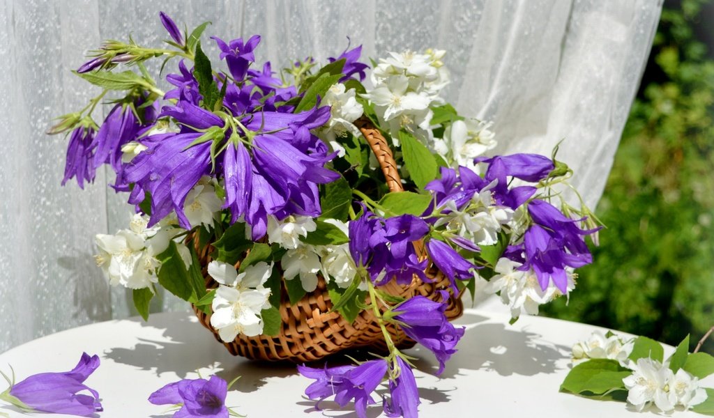 Обои букет, корзина, колокольчики, жасмин, bouquet, basket, bells, jasmine разрешение 2400x1565 Загрузить